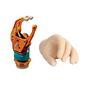 پروتز فوقانی